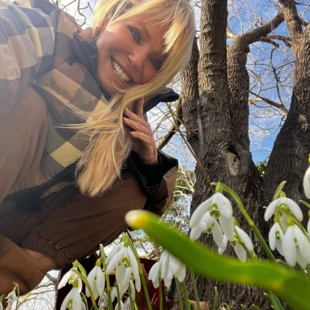 SNOW DROP BULBS/ 60 bulbs for $25 - Picture 6 of 6